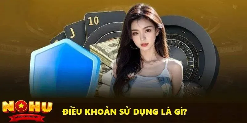 Tổng Quan Về Điều Khoản Sử Dụng Nohu Online